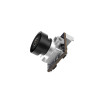 FPV Camera CaddxFPV Caddx Ant (Silver 4:3)