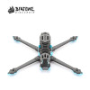 Frame Diatone Roma F7