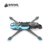 Frame Diatone Roma F7