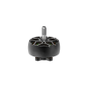 Motor iFlight XING2 2809 Black 1250KV (no logo)