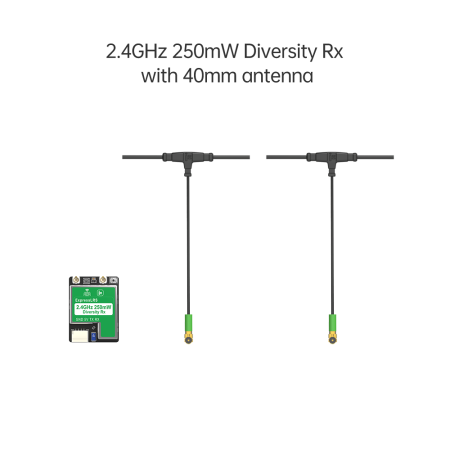Receiver iFlight True Diversity ELRS 2.4G RX + 2 x 40mm Mini Antenna